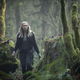 Illustration for article titled First Official Pics of Tomorrow People, The 100 and Star-Crossed!